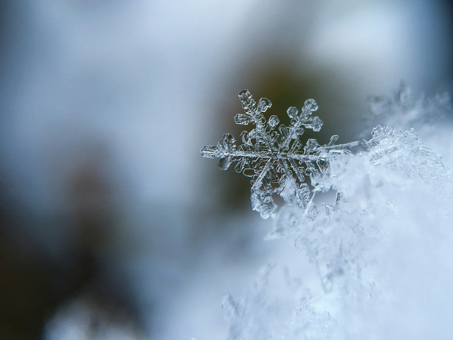 Die Rolle der EU-Förderung im SnowShifts-Projekt
